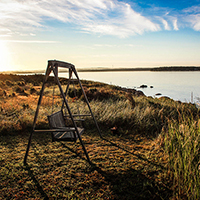 ddos攻击在哪能买到