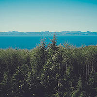 验证码代充的DDOS攻击平台