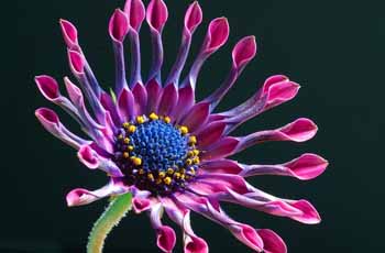 在线考核平台的网站流量攻击