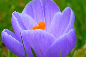 DDOS在线攻击平台