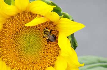 怎么去攻击一个网站与防护