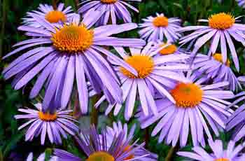 怎么去攻击一个网站与防护