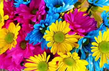 DDOS在线攻击平台