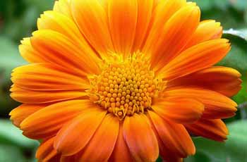 攻击网站的方法